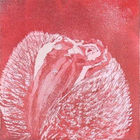 Papava Orientale - Sexualorgan, 2008, Aquatinta Radierung, 20 x 20 cm Papava Orientale - Sexualorgan